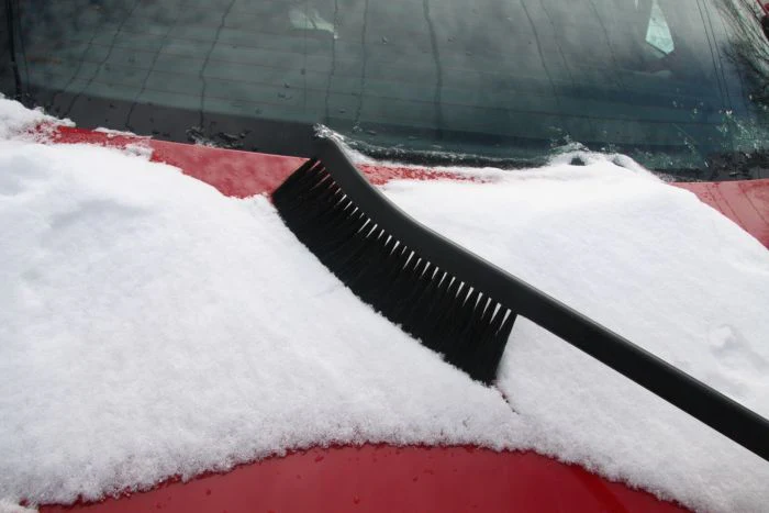 WheelWoolies Snow Duster Brush Black Boar Hair - Image 2